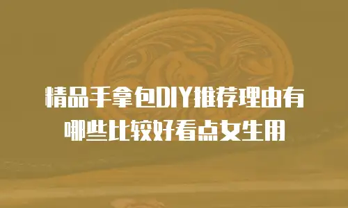 精品手拿包DIY推荐理由有哪些比较好看点女生用