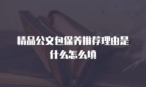 精品公文包保养推荐理由是什么怎么填