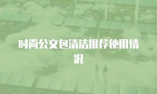 时尚公文包清洁推荐使用情况