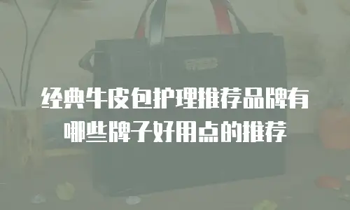 经典牛皮包护理推荐品牌有哪些牌子好用点的推荐