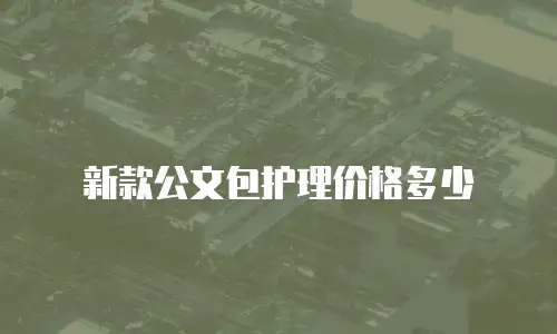 新款公文包护理价格多少