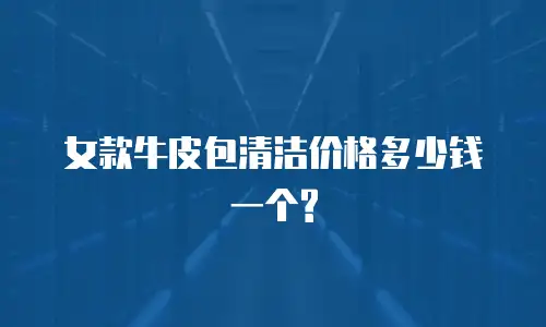 女款牛皮包清洁价格多少钱一个?