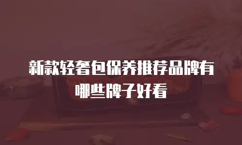 新款轻奢包保养推荐品牌有哪些牌子好看