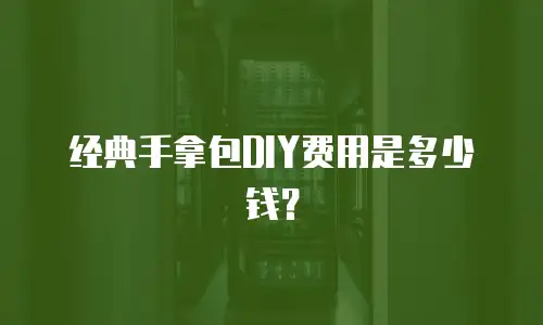 经典手拿包DIY费用是多少钱？