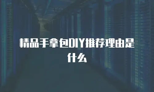 精品手拿包DIY推荐理由是什么