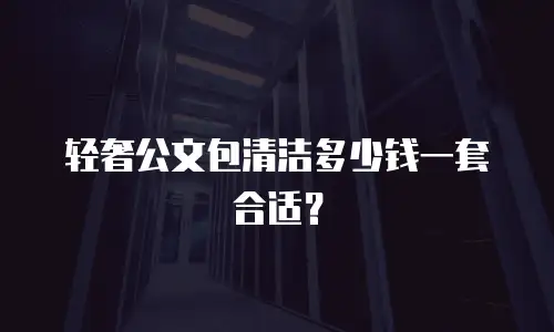 轻奢公文包清洁多少钱一套合适？