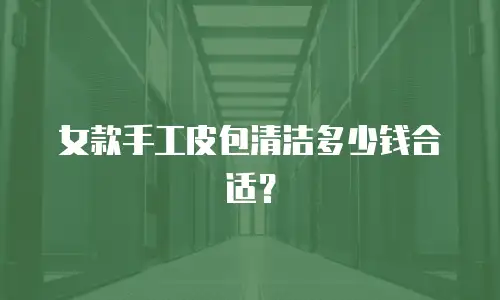 女款手工皮包清洁多少钱合适？