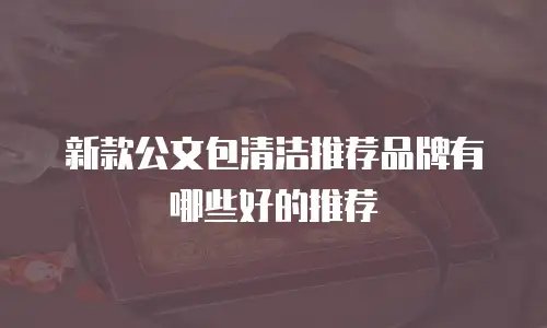 新款公文包清洁推荐品牌有哪些好的推荐