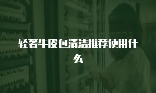 轻奢牛皮包清洁推荐使用什么