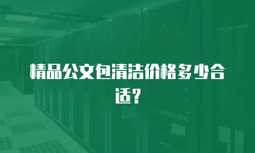 精品公文包清洁价格多少合适？