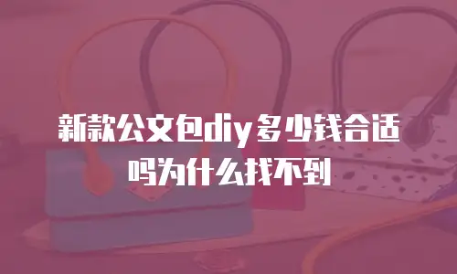 新款公文包diy多少钱合适吗为什么找不到