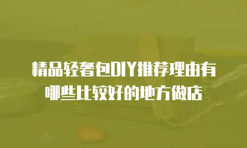 精品轻奢包DIY推荐理由有哪些比较好的地方做店