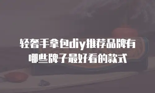 轻奢手拿包diy推荐品牌有哪些牌子最好看的款式
