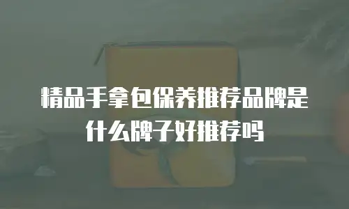 精品手拿包保养推荐品牌是什么牌子好推荐吗