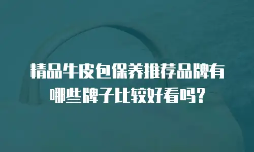 精品牛皮包保养推荐品牌有哪些牌子比较好看吗？