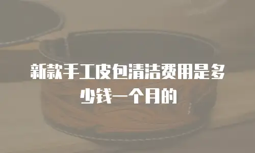 新款手工皮包清洁费用是多少钱一个月的