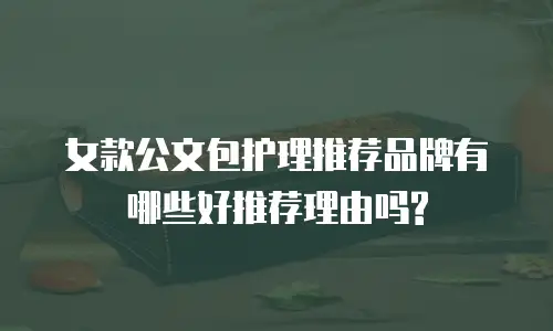 女款公文包护理推荐品牌有哪些好推荐理由吗?