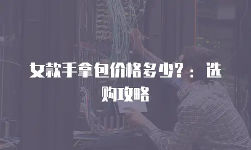 女款手拿包价格多少？：选购攻略
