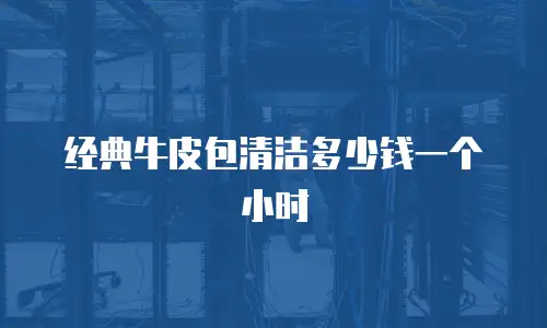 经典牛皮包清洁多少钱一个小时