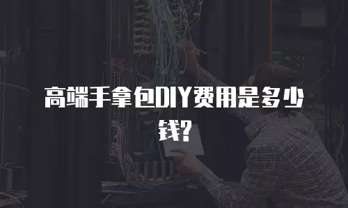 高端手拿包DIY费用是多少钱?