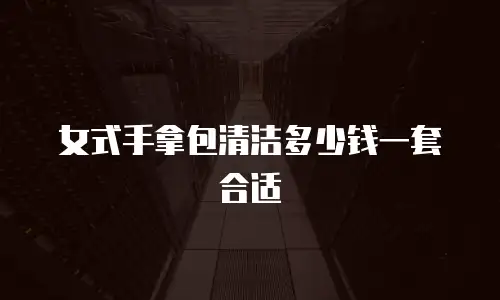女式手拿包清洁多少钱一套合适