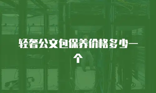 轻奢公文包保养价格多少一个