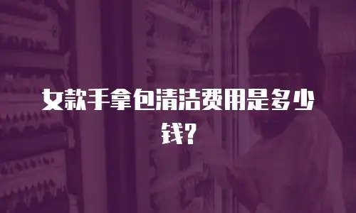 女款手拿包清洁费用是多少钱？