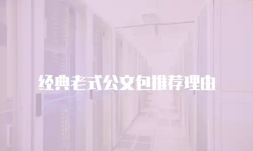 经典老式公文包推荐理由