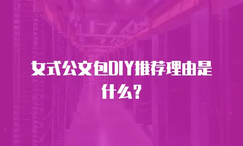 女式公文包DIY推荐理由是什么？