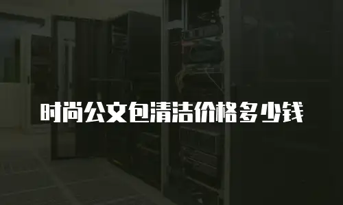 时尚公文包清洁价格多少钱