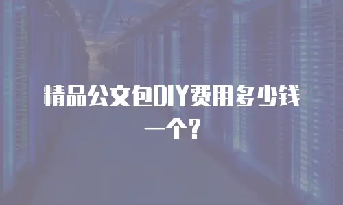 精品公文包DIY费用多少钱一个？