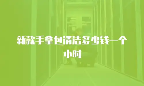 新款手拿包清洁多少钱一个小时