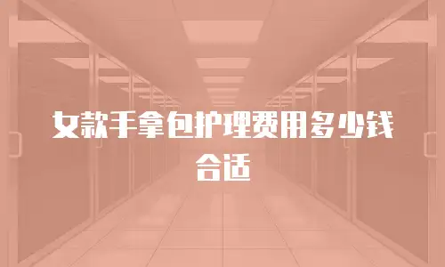 女款手拿包护理费用多少钱合适