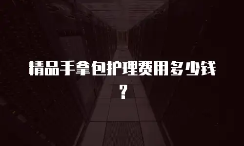 精品手拿包护理费用多少钱？