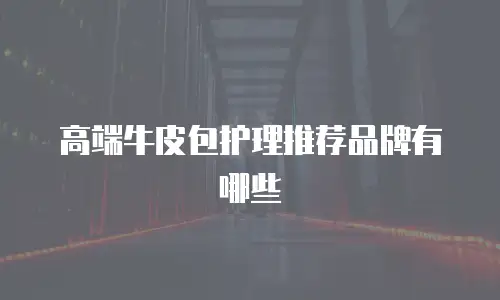 高端牛皮包护理推荐品牌有哪些