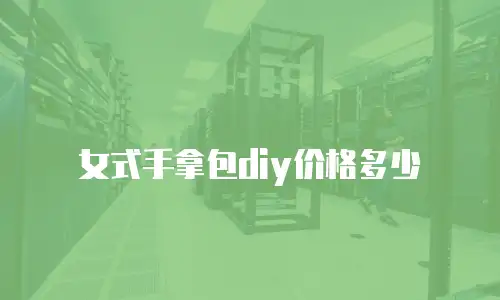 女式手拿包diy价格多少