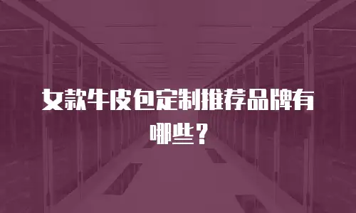 女款牛皮包定制推荐品牌有哪些？