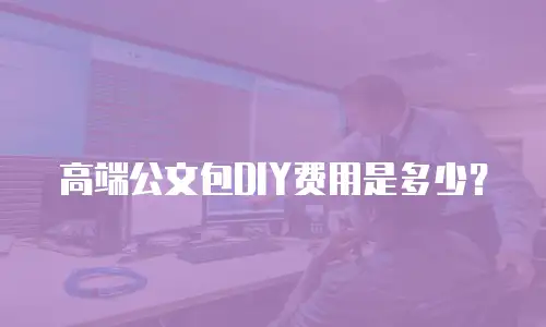 高端公文包DIY费用是多少？