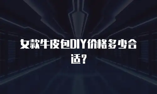 女款牛皮包DIY价格多少合适？