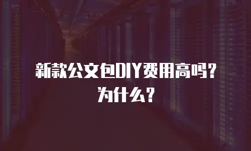 新款公文包DIY费用高吗？为什么？