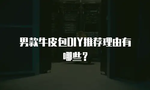 男款牛皮包DIY推荐理由有哪些？