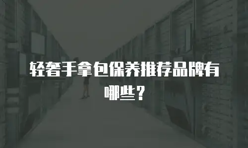 轻奢手拿包保养推荐品牌有哪些？