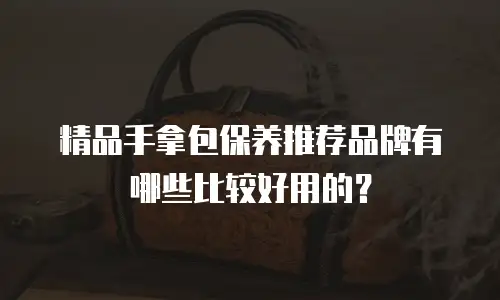 精品手拿包保养推荐品牌有哪些比较好用的？