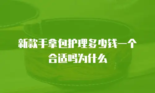 新款手拿包护理多少钱一个合适吗为什么