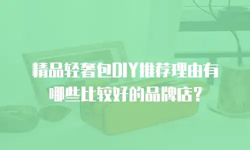 精品轻奢包DIY推荐理由有哪些比较好的品牌店？