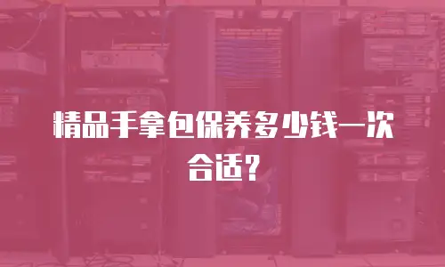 精品手拿包保养多少钱一次合适？