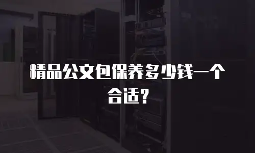精品公文包保养多少钱一个合适？