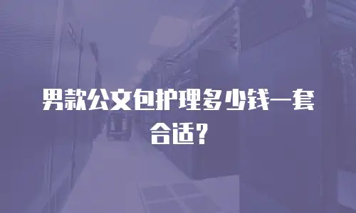男款公文包护理多少钱一套合适？