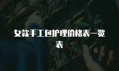 女款手工包护理价格表一览表
