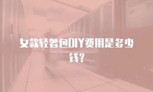 女款轻奢包DIY费用是多少钱？